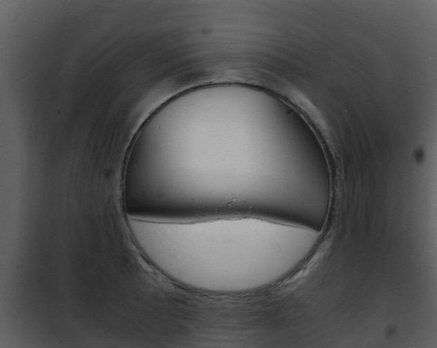X0000101991089200807180819