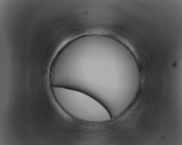 X0000101991091200807180819