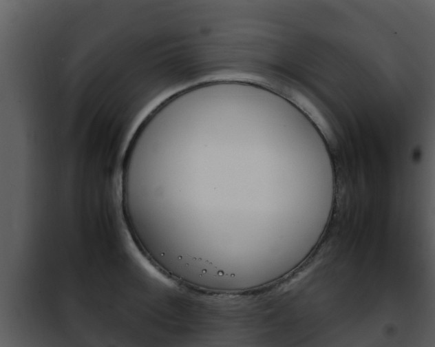 X0000101991092200807180819