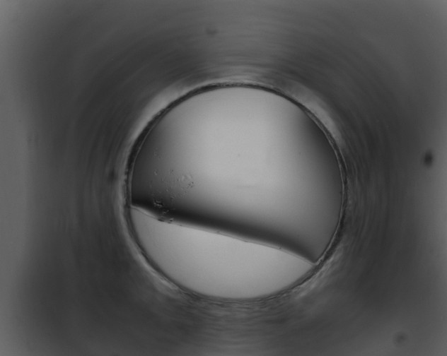 X0000101991093200807180818