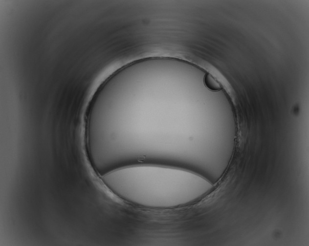 X0000101991096200807180818
