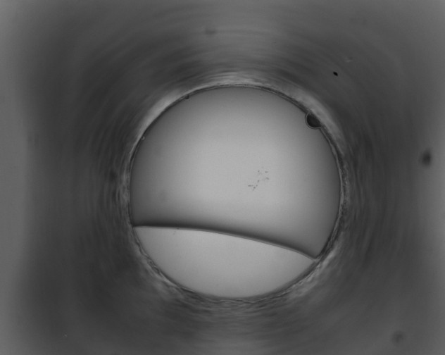 X0000101991097200807180818