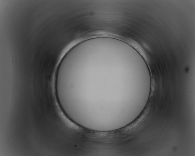 X0000101991098200807180818