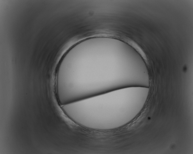 X0000101991099200807180818
