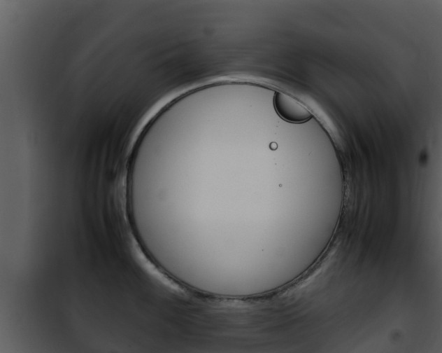 X0000101991100200807180818