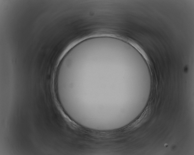 X0000101991101200807180818