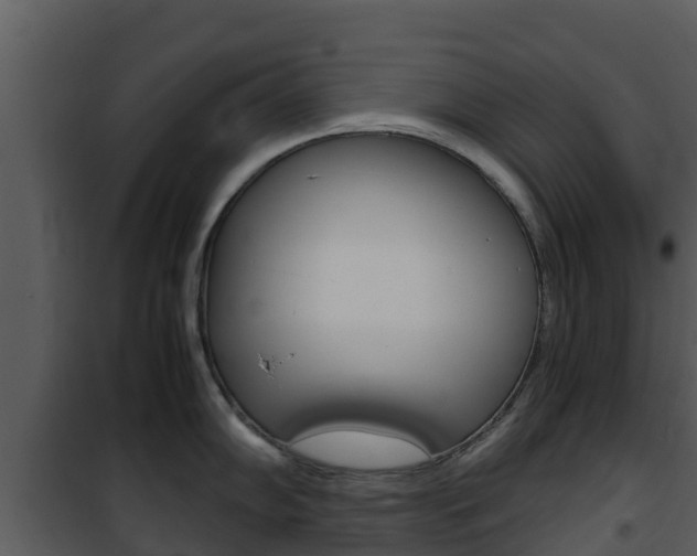 X0000101991102200807180818