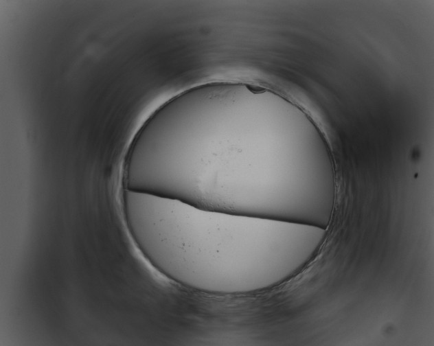 X0000101991103200807180818