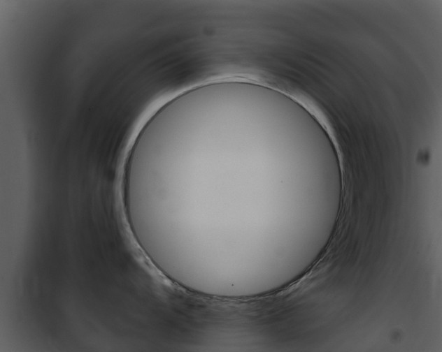 X0000101991104200807180818