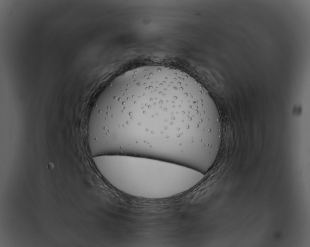 X0000101991105200807180818