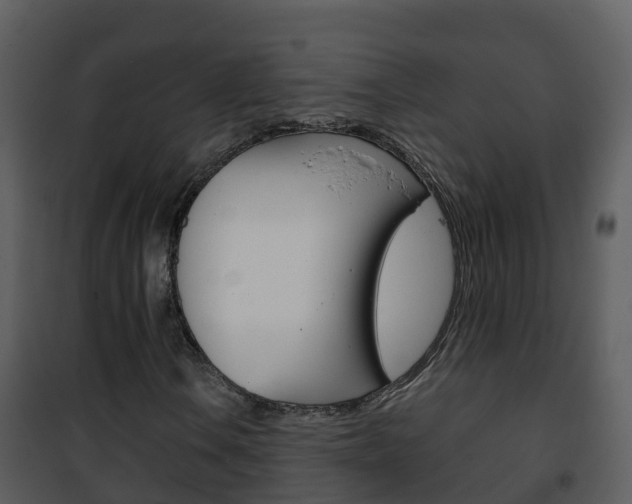 X0000101991106200807180818