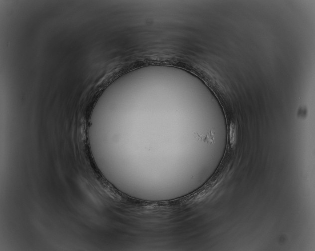 X0000101991107200807180818