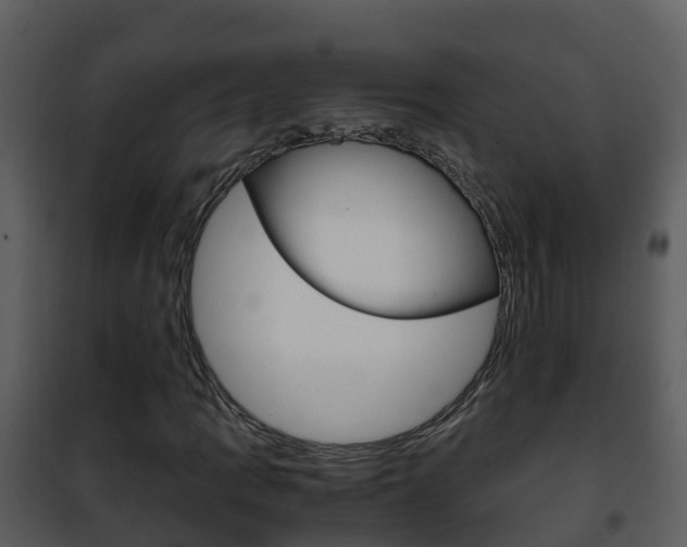 X0000101991109200807180818
