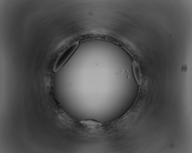 X0000101991110200807180818