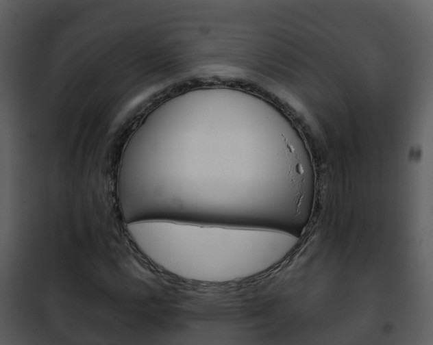 X0000101991112200807180818