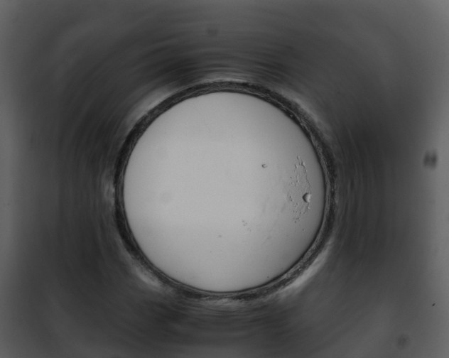 X0000101991113200807180818