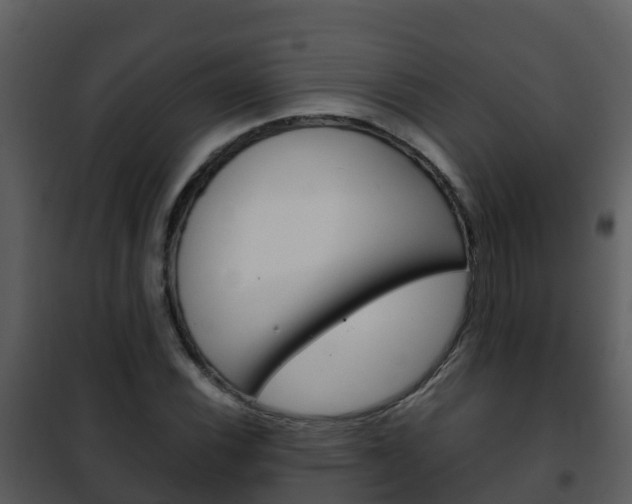 X0000101991116200807180818