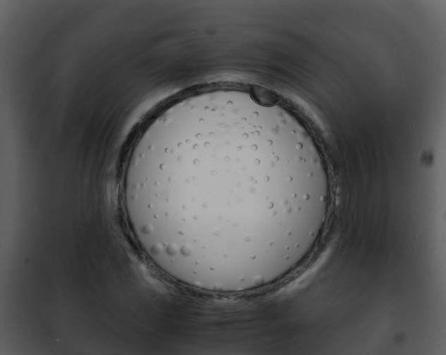 X0000101991117200807180818