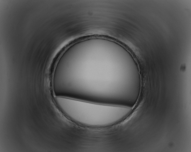 X0000101991118200807180818