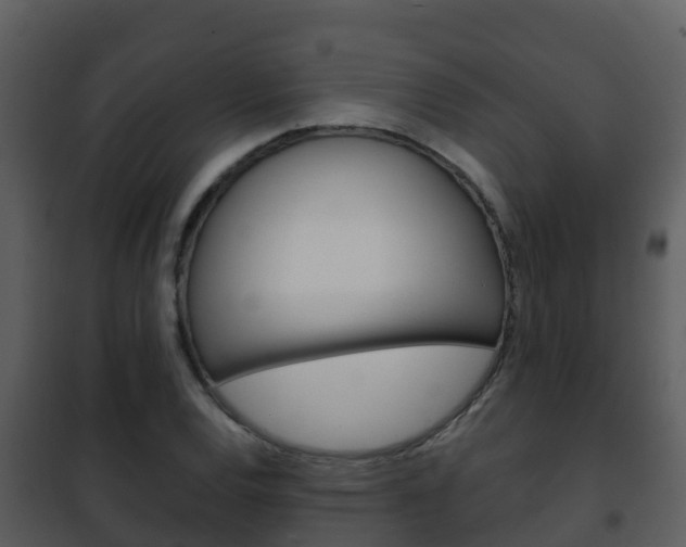 X0000101991120200807180818