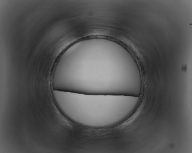 X0000101991121200807180818