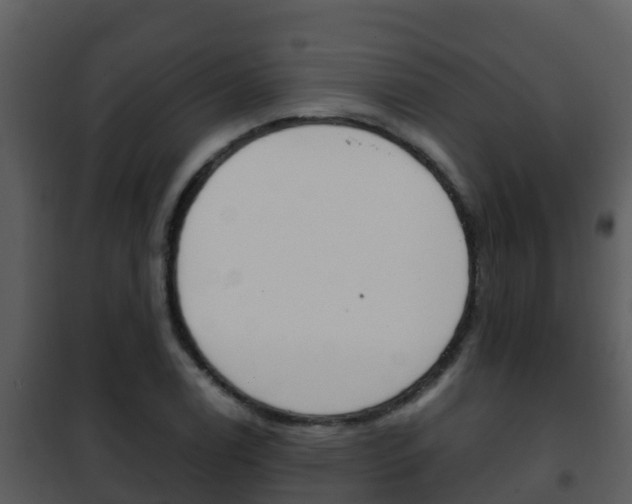 X0000101991122200807180818