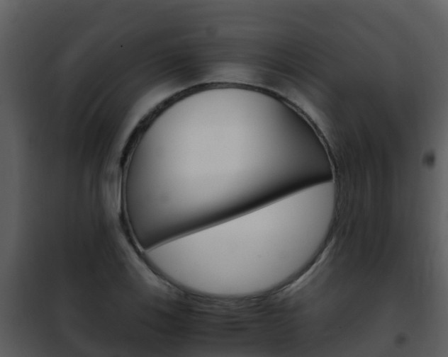 X0000101991123200807180818