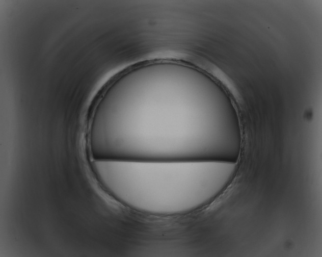 X0000101991124200807180818