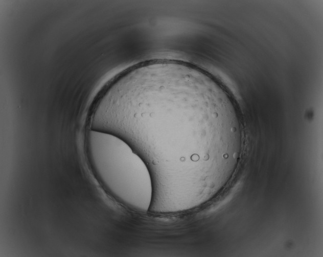 X0000101991125200807180818