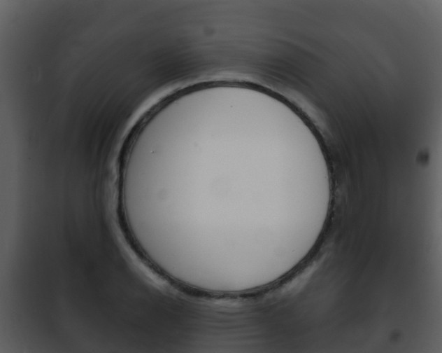 X0000101991126200807180818