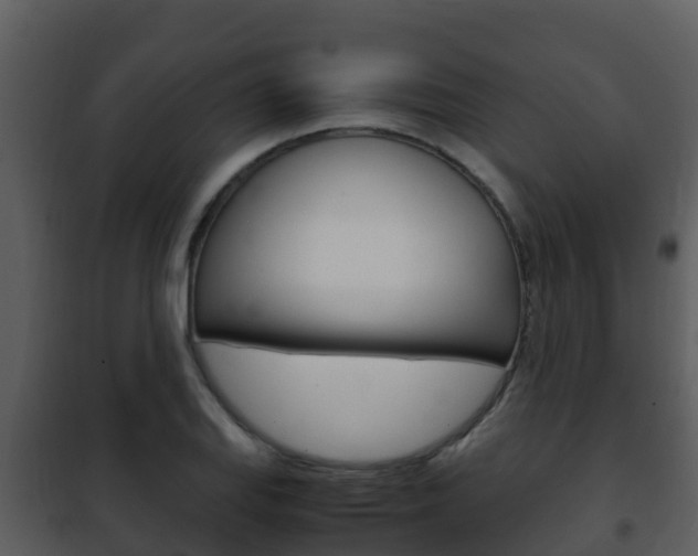 X0000101991127200807180818