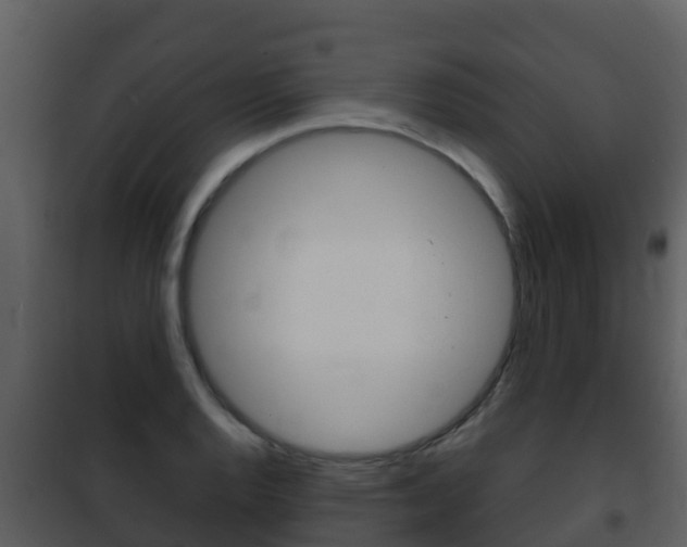 X0000101991128200807180818