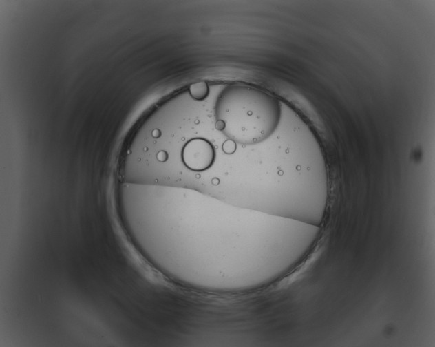 X0000101991130200807180818