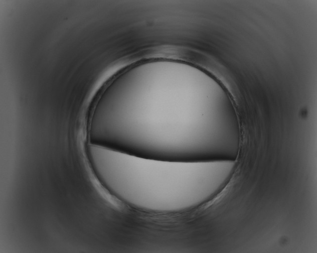 X0000101991131200807180818