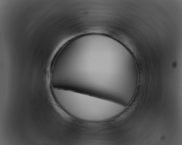 X0000101991132200807180818