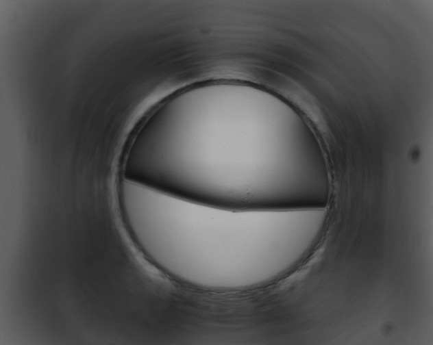 X0000101991133200807180818