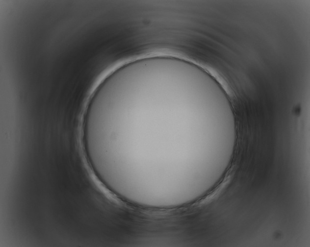 X0000101991134200807180818