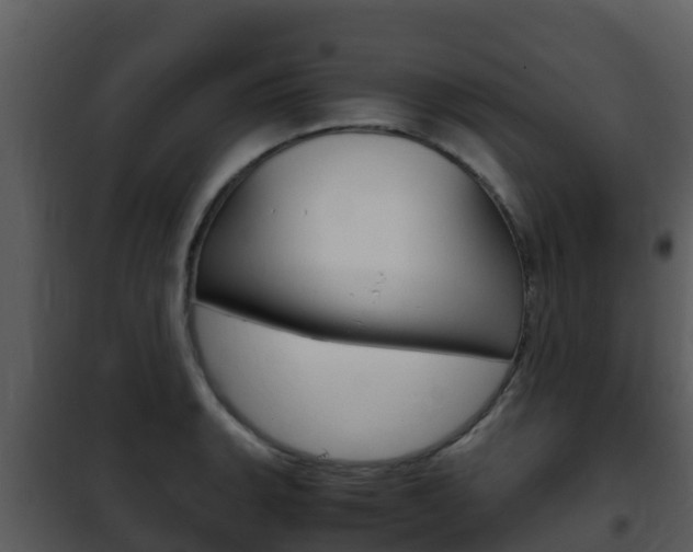 X0000101991135200807180818