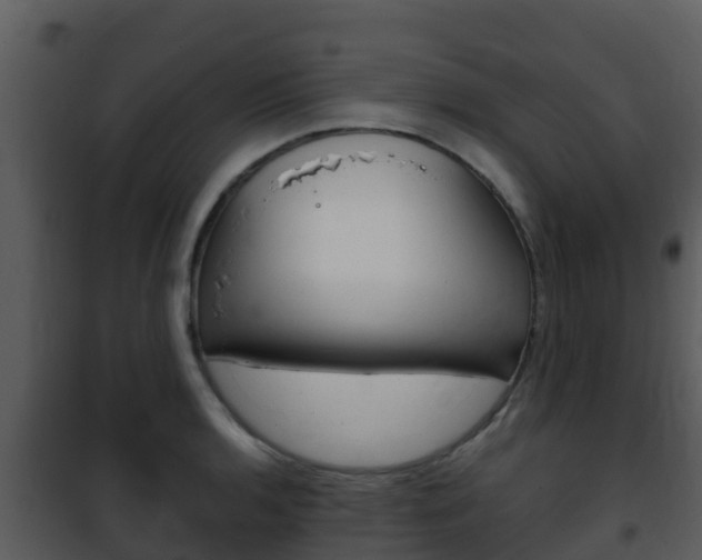 X0000101991136200807180818