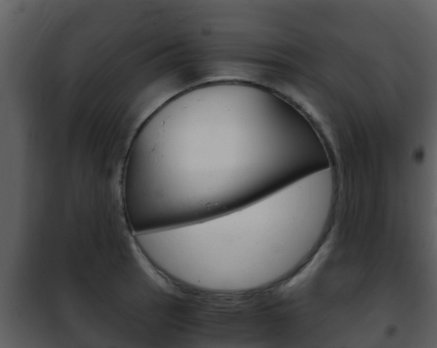 X0000101991137200807180818