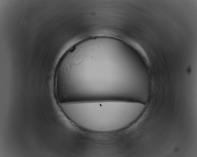 X0000101991138200807180818