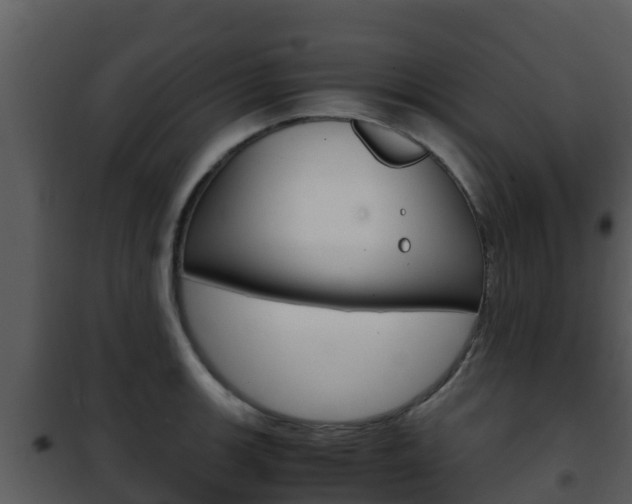 X0000101991139200807180818