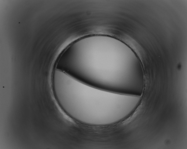 X0000101991141200807180818
