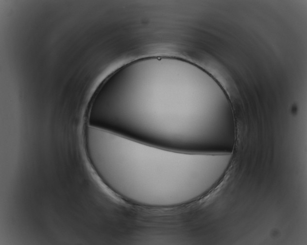 X0000101991142200807180818