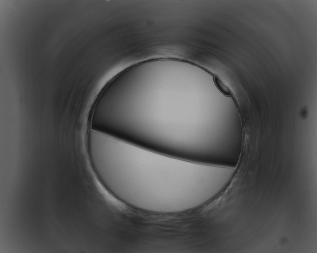 X0000101991143200807180818