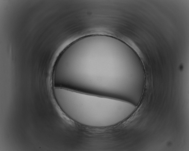 X0000101991144200807180818