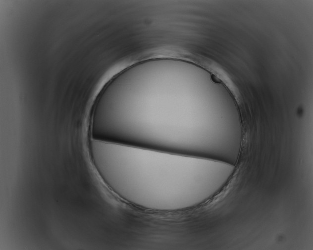 X0000101991146200807180818
