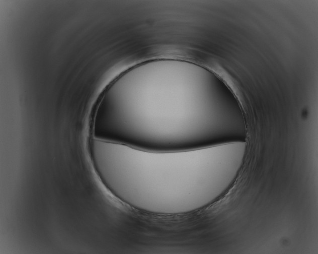X0000101991147200807180818