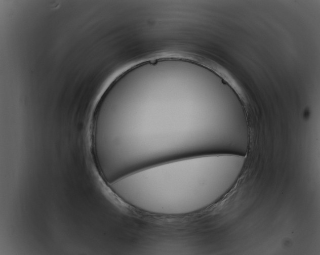 X0000101991148200807180818