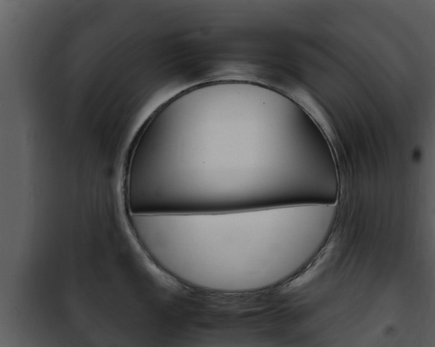 X0000101991149200807180818